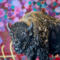 "Bison Land" Original Chris Wakefield Mixed Media Painting On Canvas 